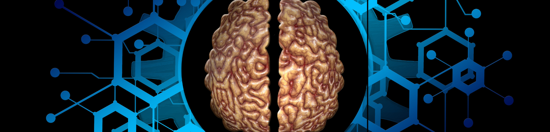 Informática en Salud Mental